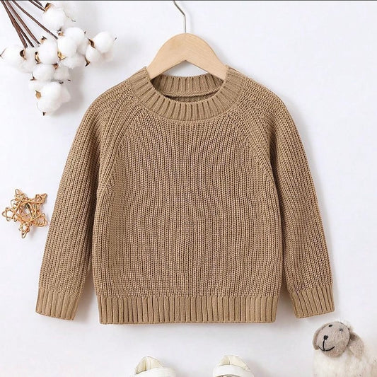 Young Boy Raglan Sleeve Ribbed Knit Sweater